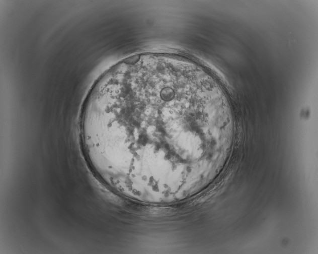 X0000097601471200803280939