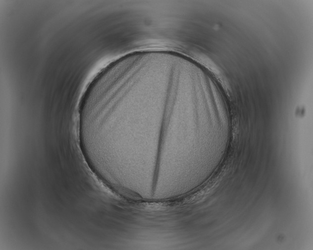 X0000097601472200803280939