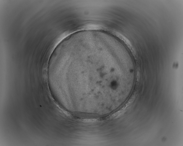 X0000097601473200803280939