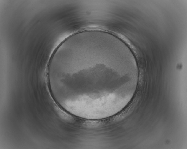 X0000097601474200803280939