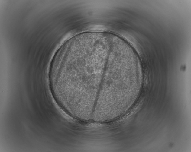 X0000097601475200803280939