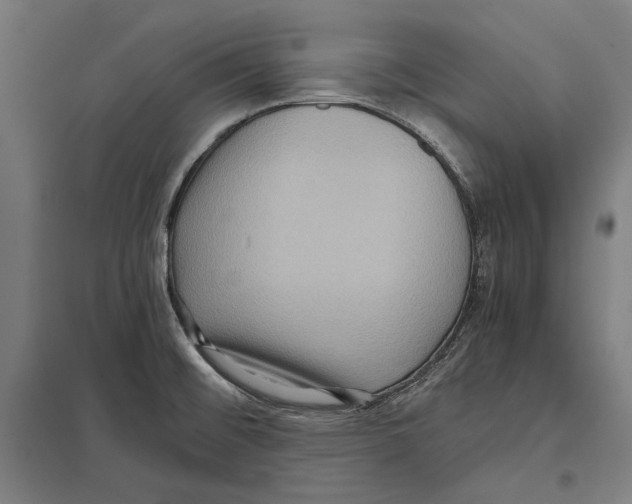 X0000097601476200803280939