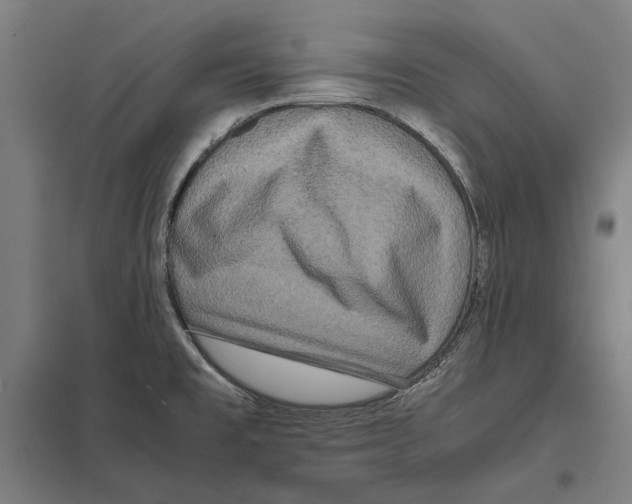 X0000097601477200803280939