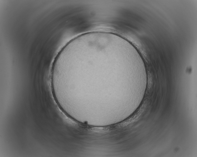 X0000097601478200803280939