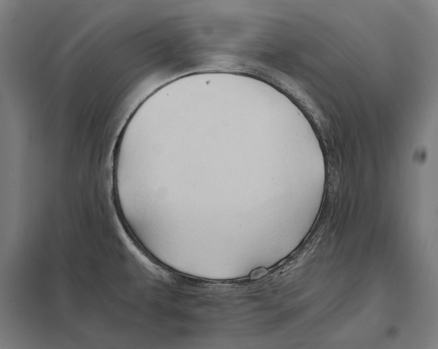 X0000097601479200803280939