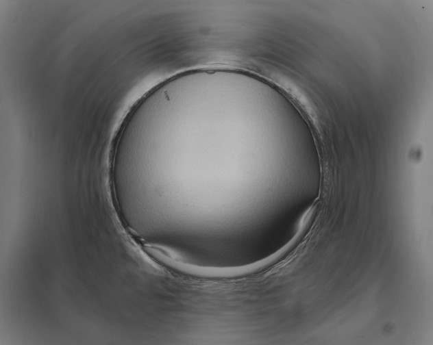 X0000097601480200803280939