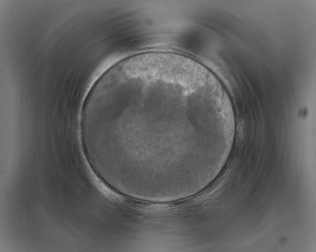 X0000097601482200803280939