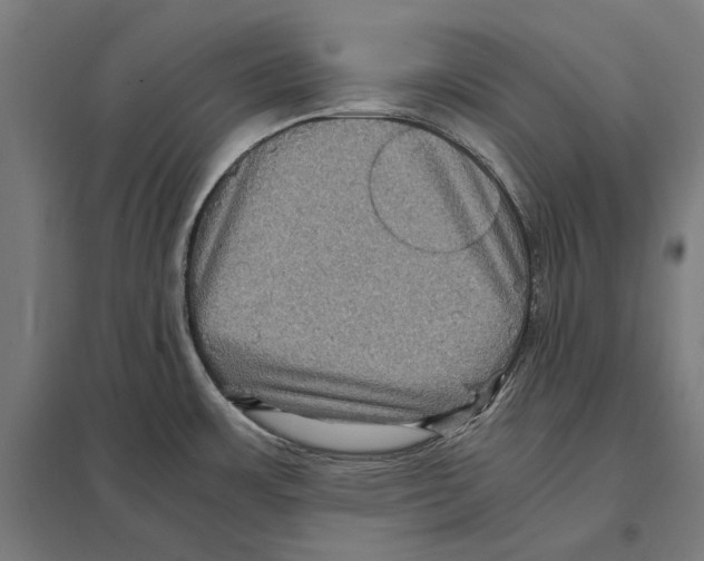 X0000097601483200803280939