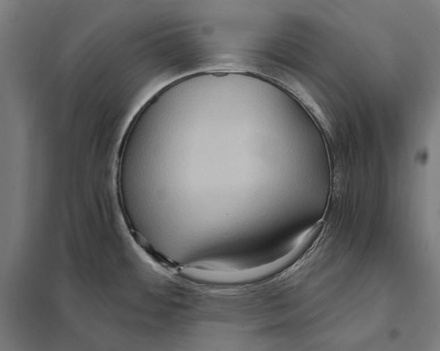 X0000097601484200803280939