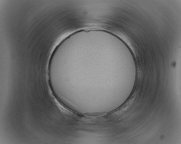 X0000097601485200803280939