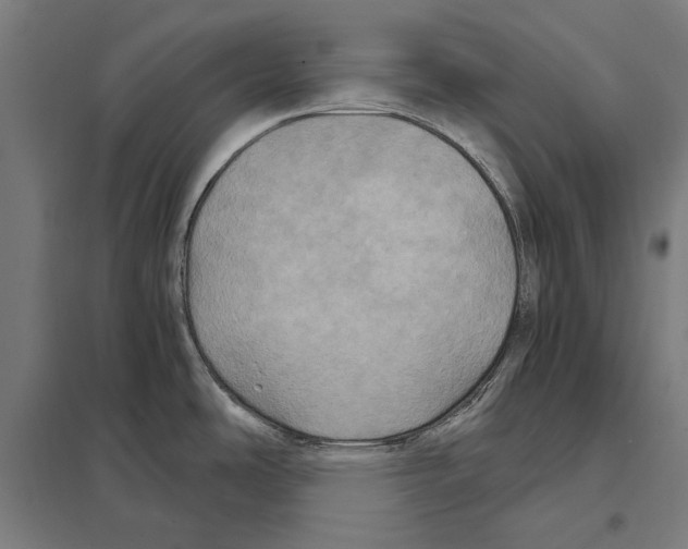 X0000097601486200803280939