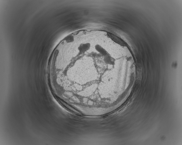 X0000097601487200803280939