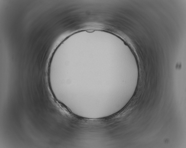 X0000097601488200803280939