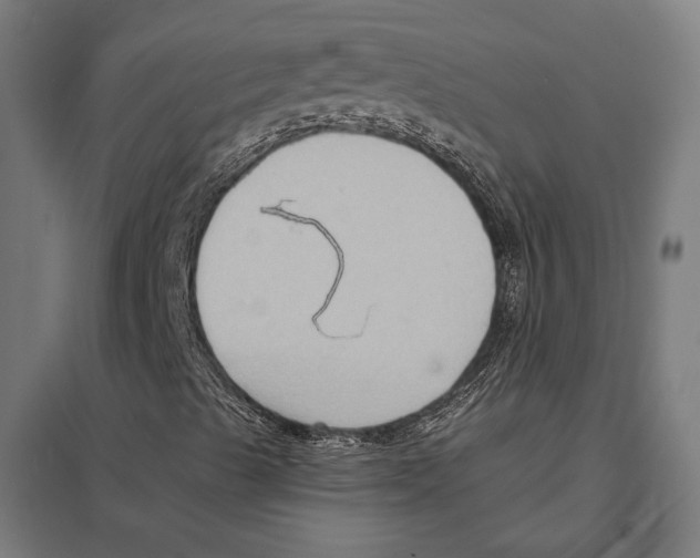 X0000097601489200803280938