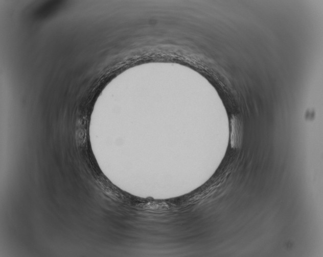 X0000097601491200803280938