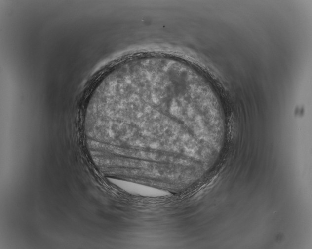 X0000097601494200803280938