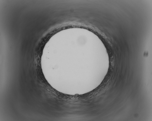 X0000097601495200803280938