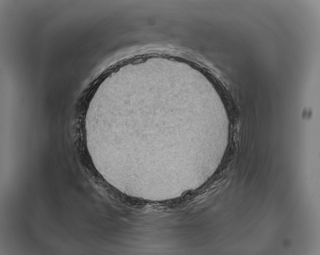 X0000097601496200803280938