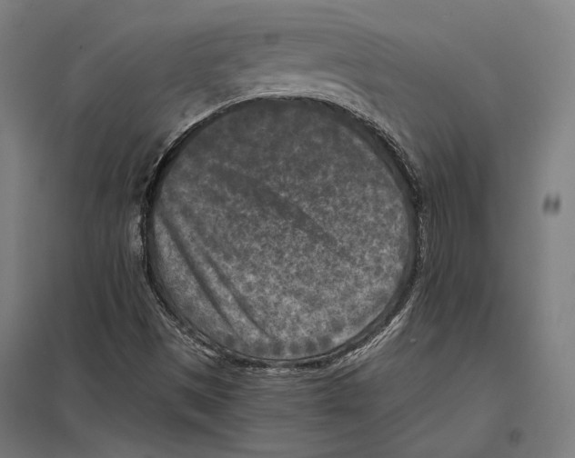 X0000097601497200803280938