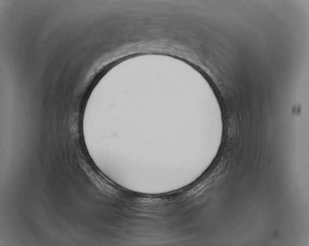 X0000097601499200803280938