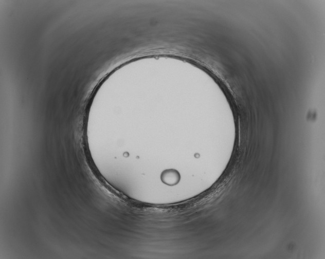 X0000097601500200803280938