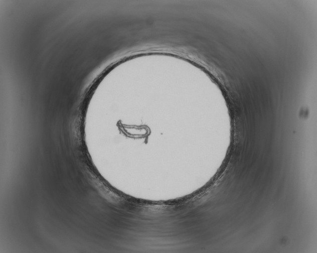 X0000097601502200803280938