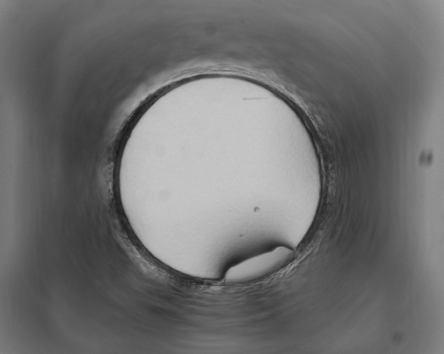 X0000097601503200803280938