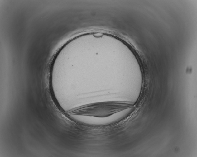 X0000097601504200803280938