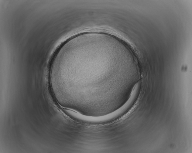 X0000097601506200803280938