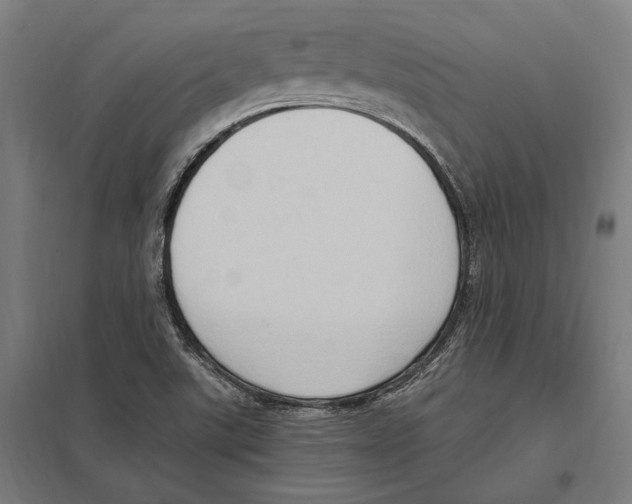 X0000097601507200803280938