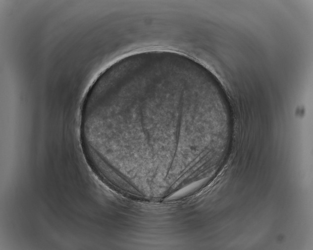 X0000097601508200803280938