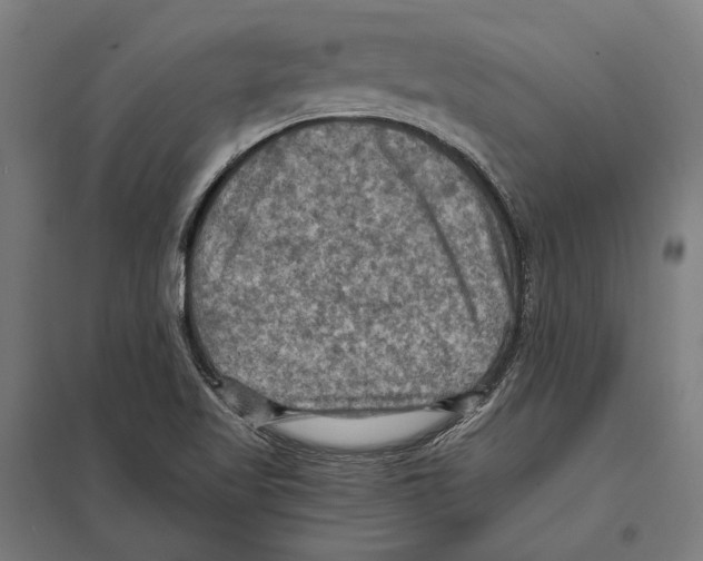 X0000097601509200803280938