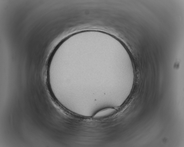 X0000097601511200803280938