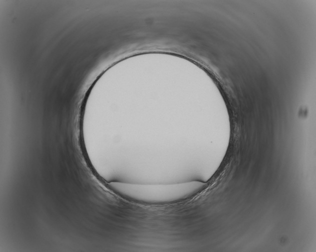 X0000097601512200803280938