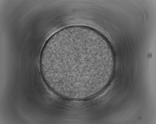 X0000097601513200803280939