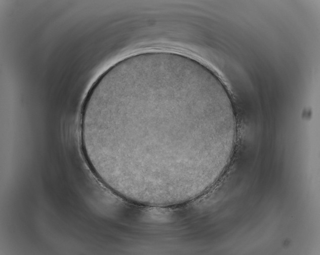 X0000097601514200803280939