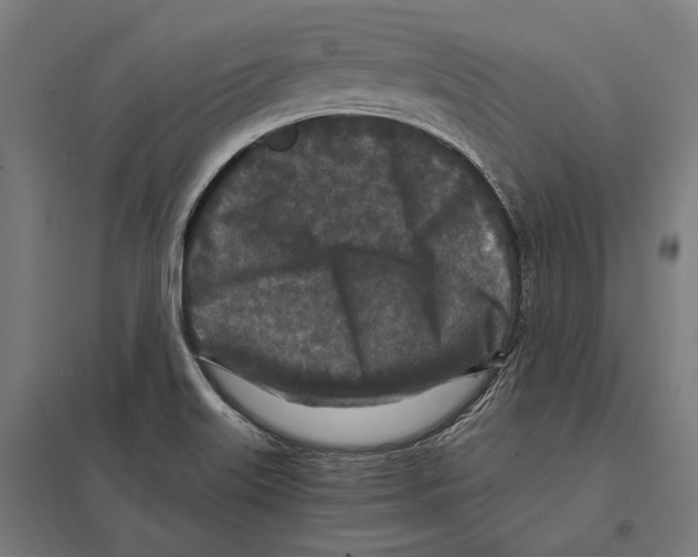 X0000097601515200803280939