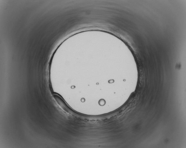 X0000097601516200803280939