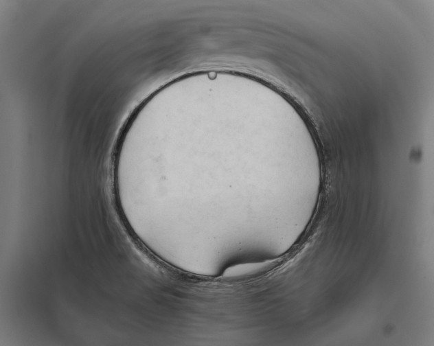 X0000097601517200803280939