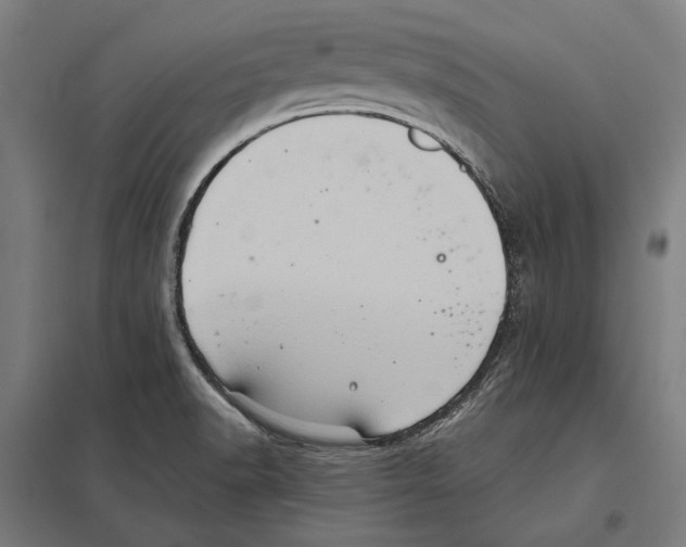 X0000097601518200803280939