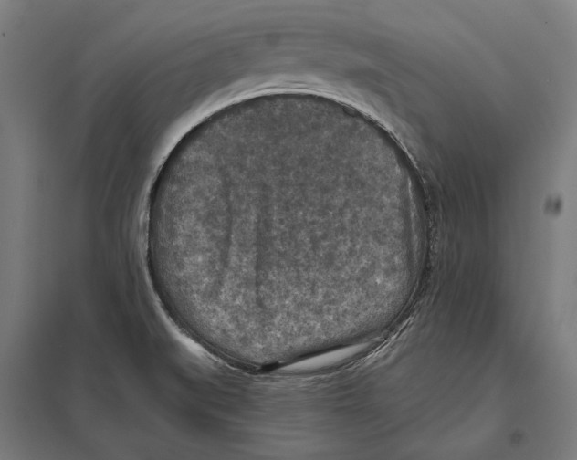 X0000097601519200803280939