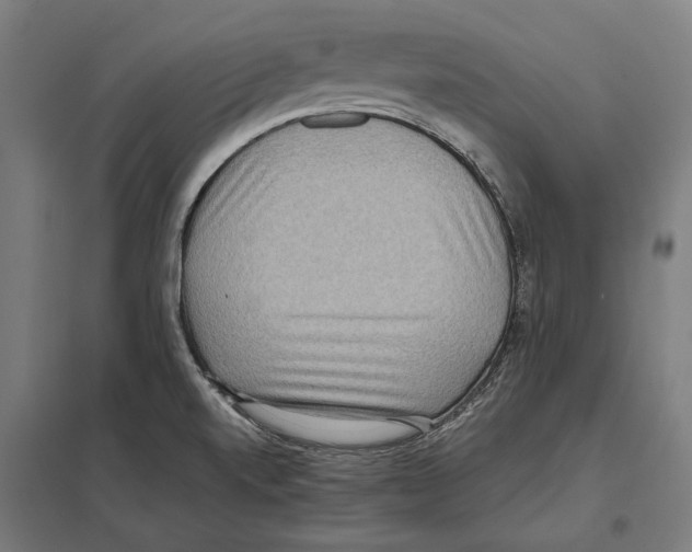 X0000097601520200803280939