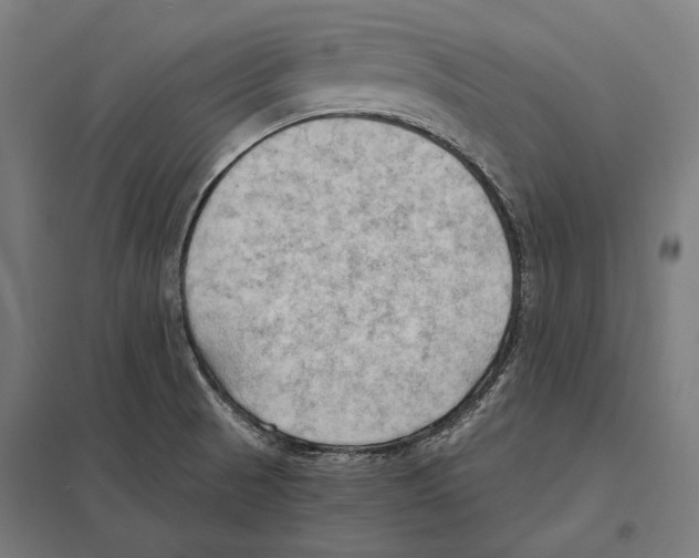 X0000097601521200803280939