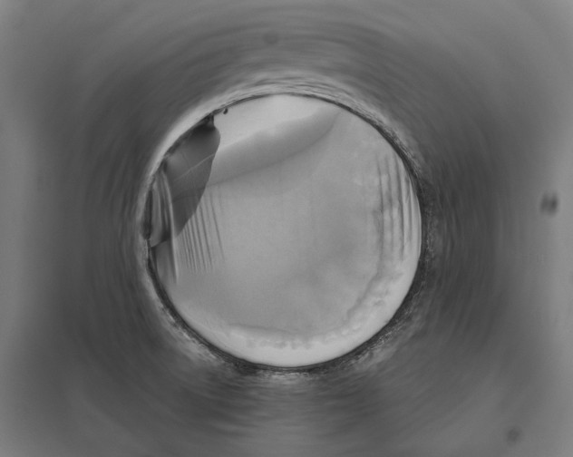 X0000097601522200803280939