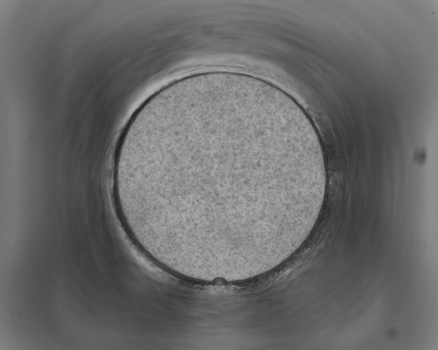 X0000097601523200803280939