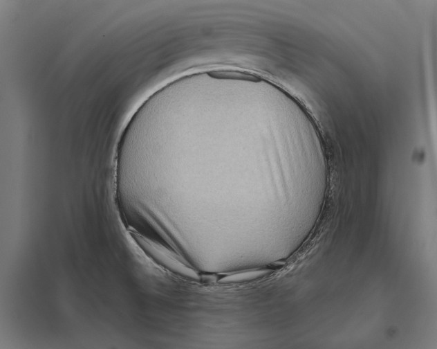 X0000097601524200803280939