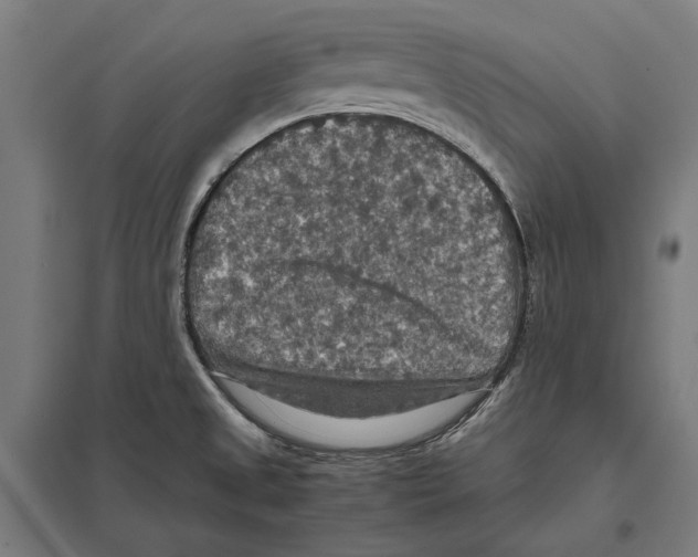 X0000097601525200803280939