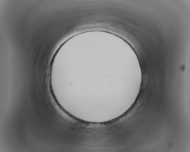 X0000097601526200803280939