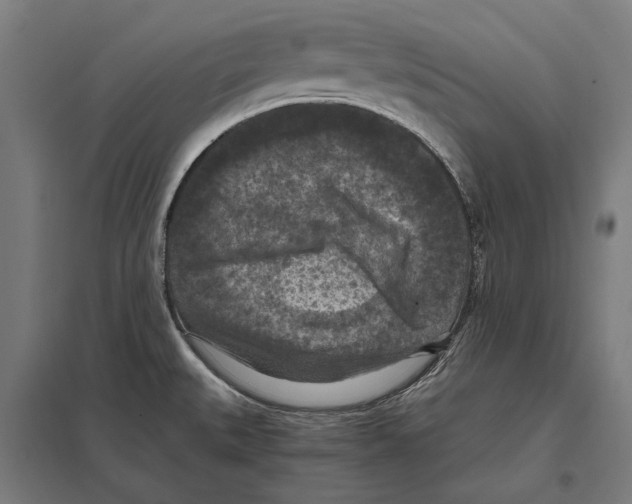 X0000097601527200803280939