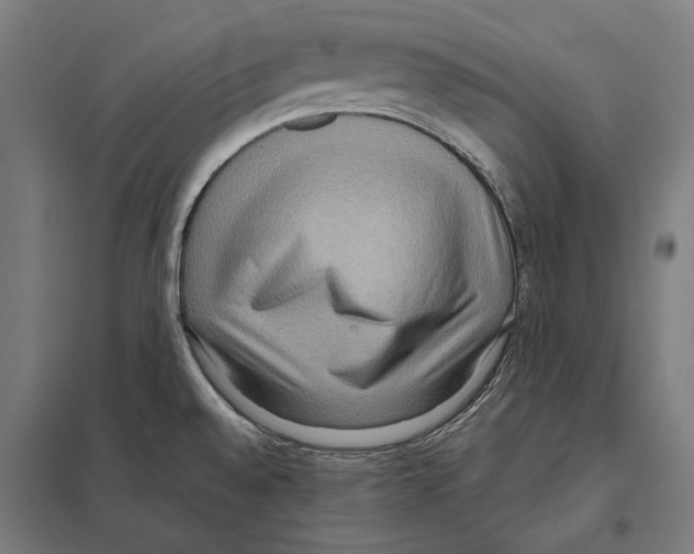 X0000097601528200803280939